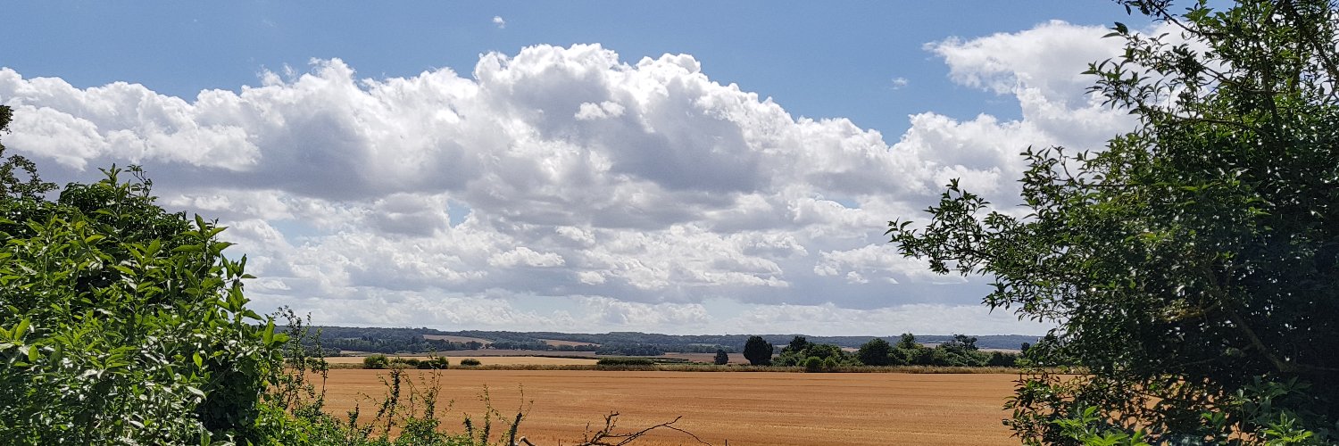 Andrew Parker banner