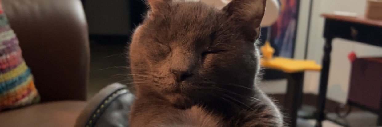jbedil27's profile banner image