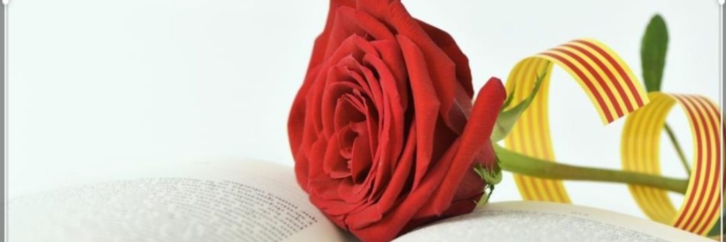 Peterwhite2276's profile banner image