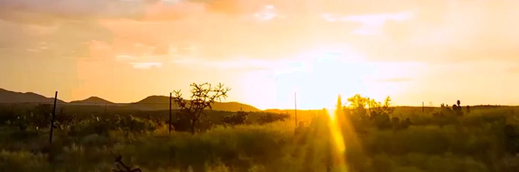 veronicaaleon's profile banner image