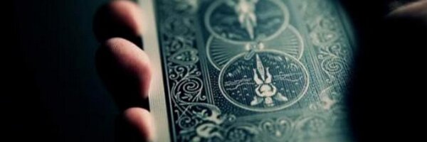 neilselva Profile Banner