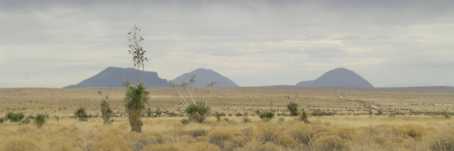 Jennifer K. Frey's banner