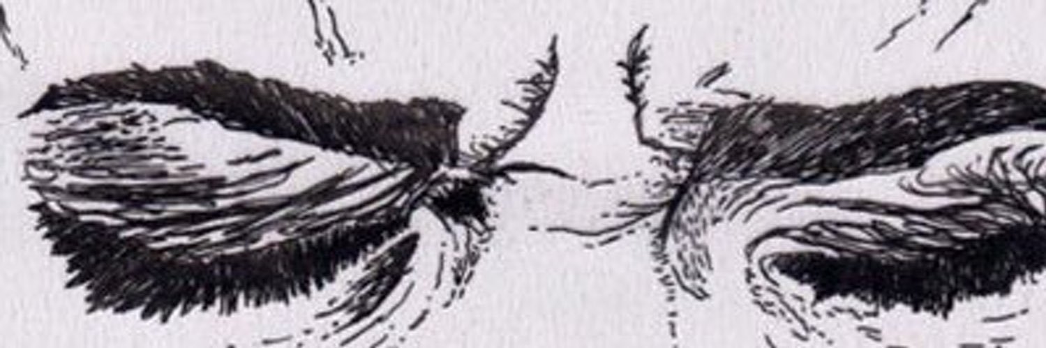 deplative's profile banner image