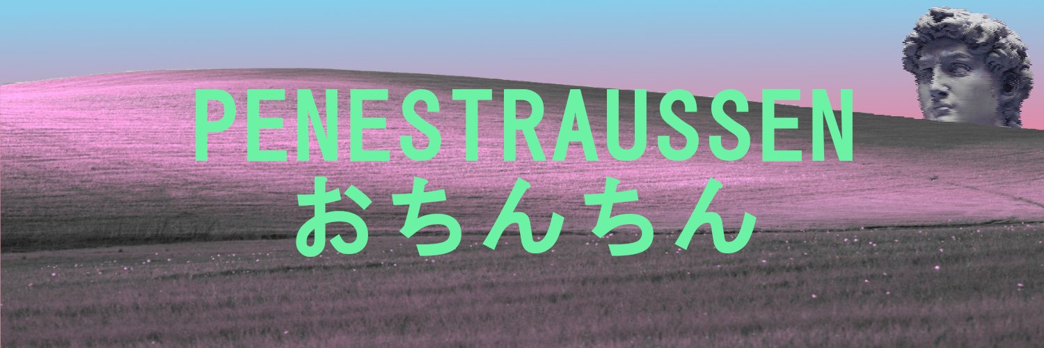 Penestraussen's profile banner image