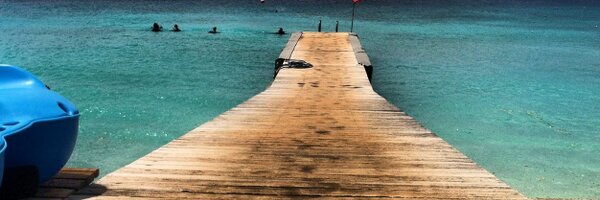 ChaseFrei Profile Banner