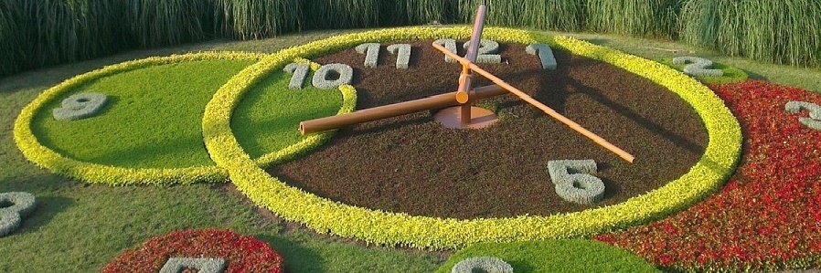 Kamon Ayeva 🐍 banner