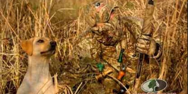 always_fishin's profile banner image