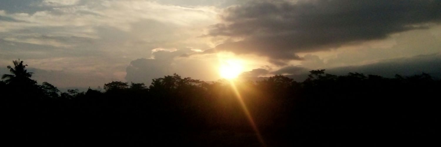 Narda_Shinta's profile banner image