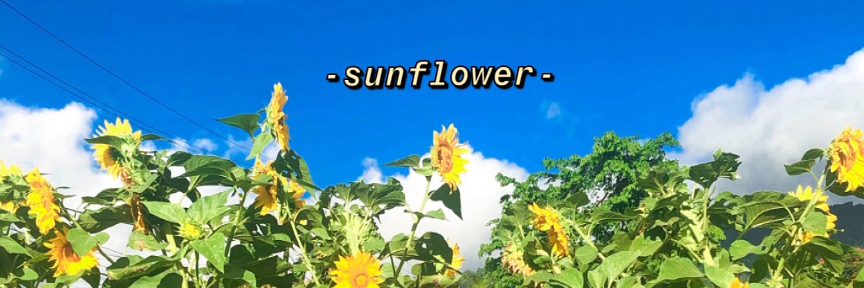 UlfhaaaG's profile banner image