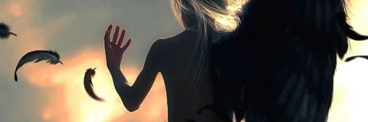 ava banner