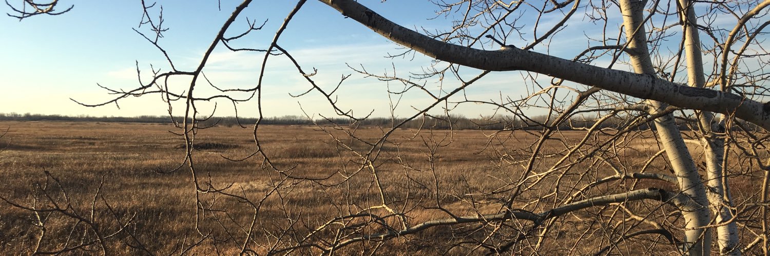 coreylthorson's profile banner image