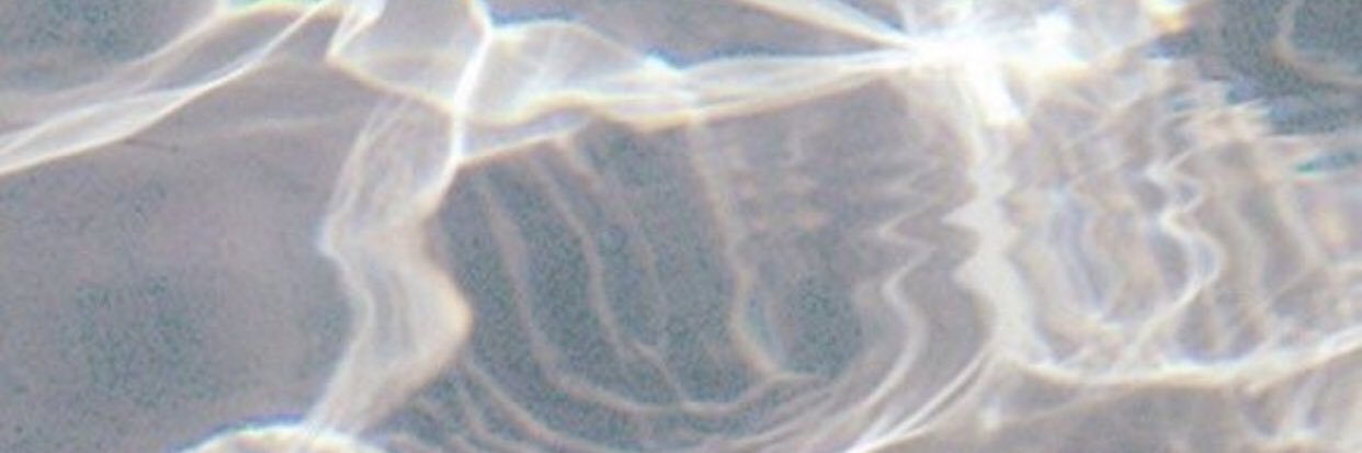 Ariannanicolet's profile banner image
