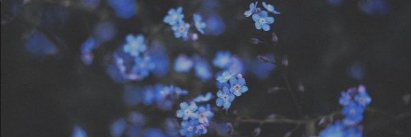 fluffymgc_ Profile Banner