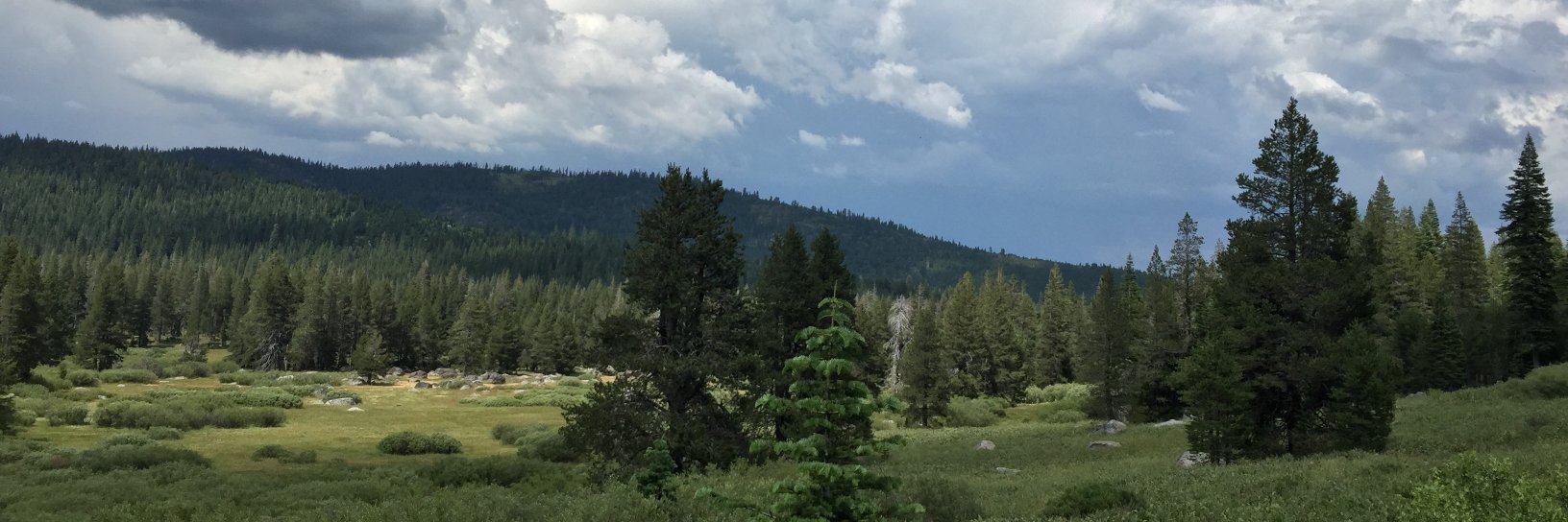 NancyNeipp's profile banner image