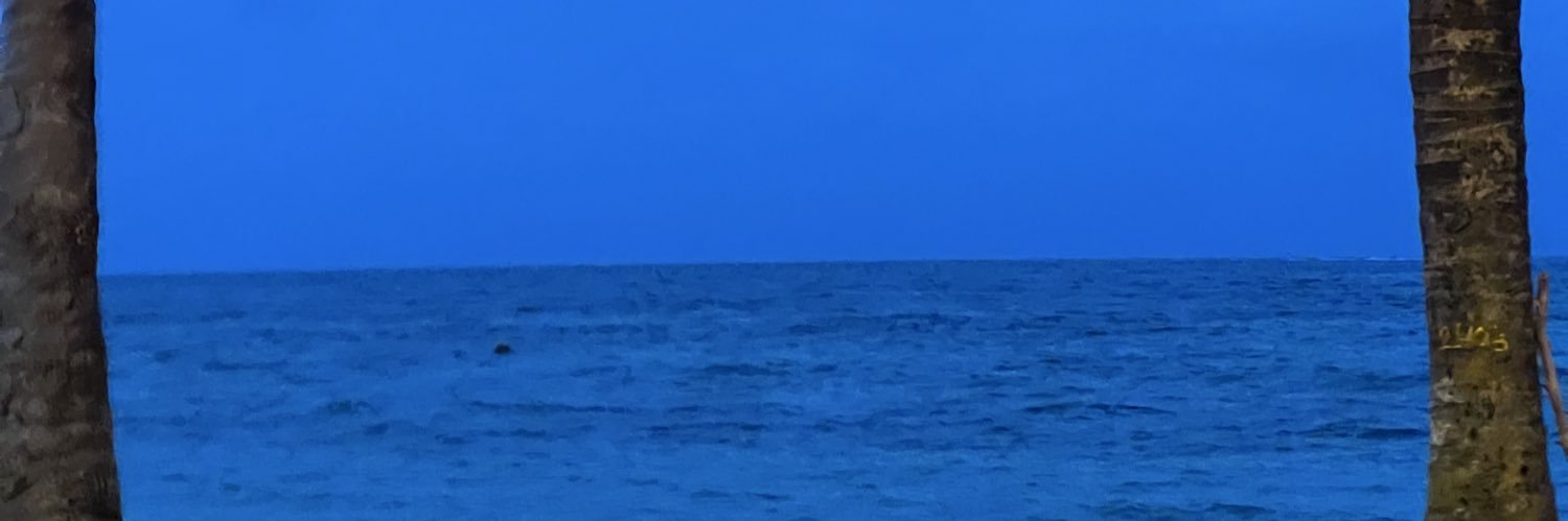 Cami_Banchero's profile banner image