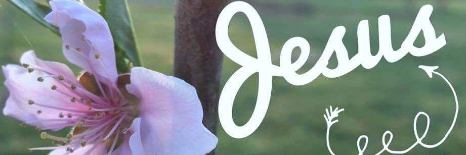 _LoveUJC's profile banner image