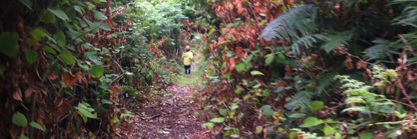 MathdjJones Profile Banner