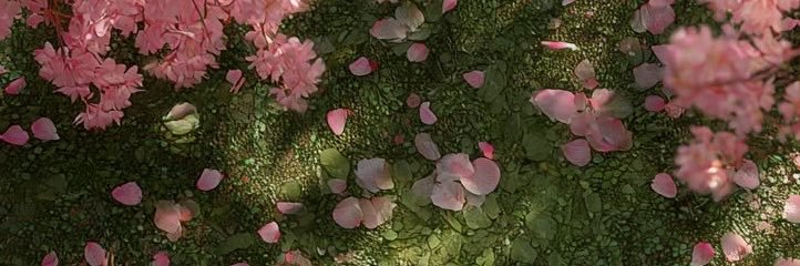 hii2o_'s profile banner image