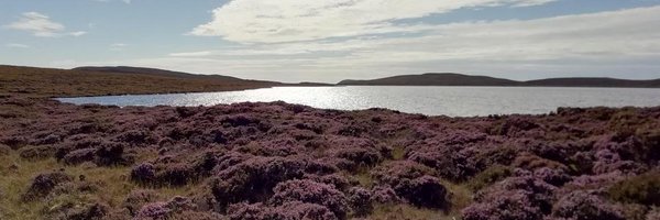 DeasSarah Profile Banner