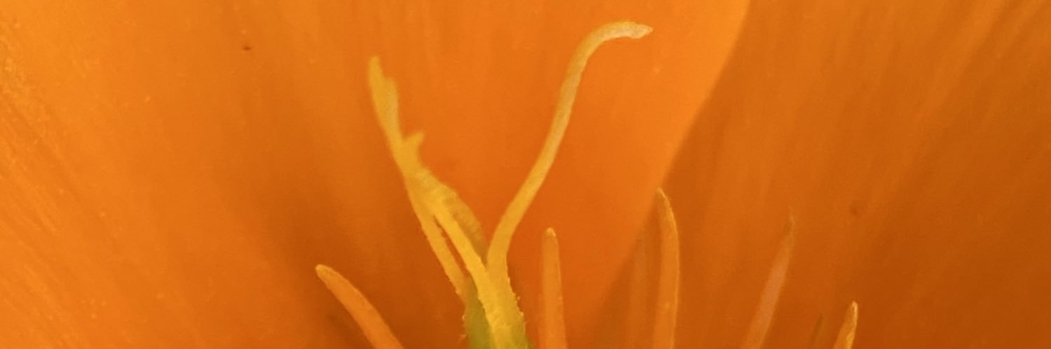CjwilsonBMS's profile banner image