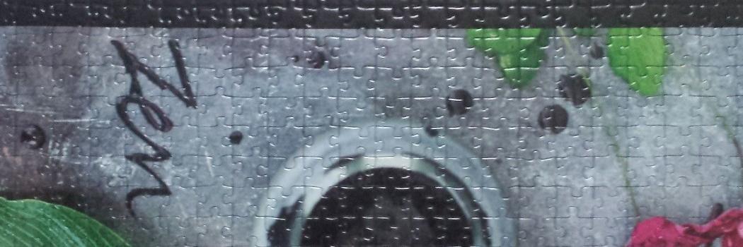 DolphinTina's profile banner image