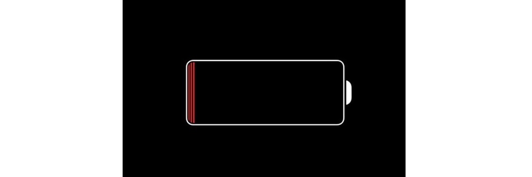 🪸 Crazy Bee 🪸 banner