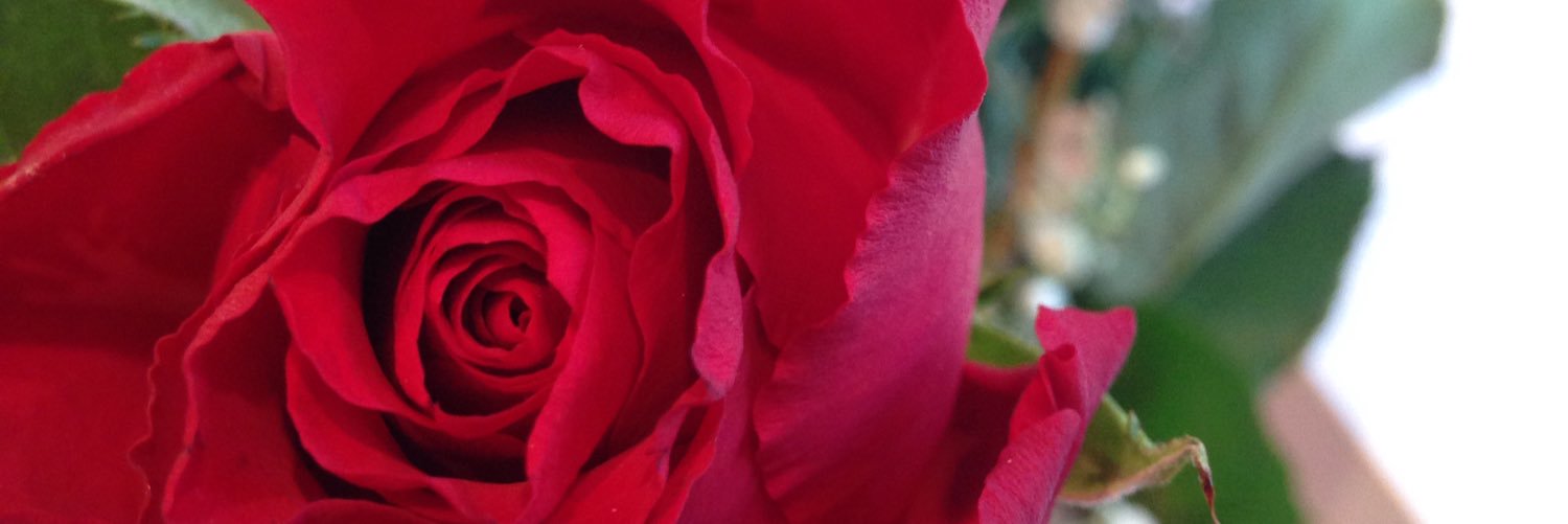 Tigseymate's profile banner image