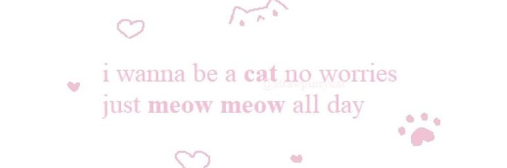 ✧ alice // ✧ banner