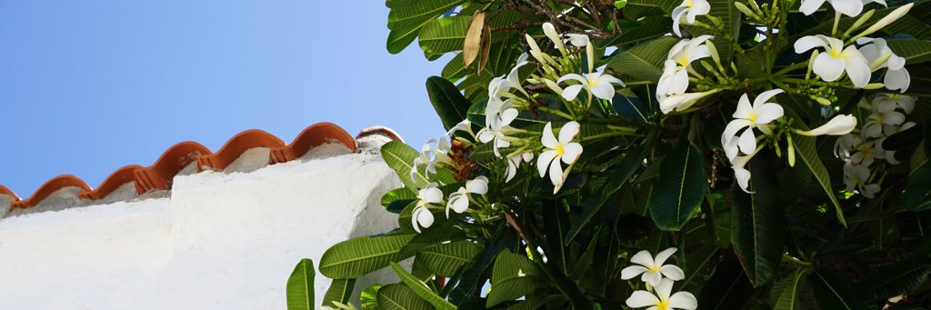 zobootiful's profile banner image