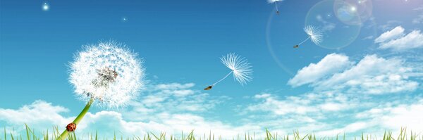 wakhanauthor Profile Banner