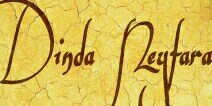 Dindaneyfara's profile banner image