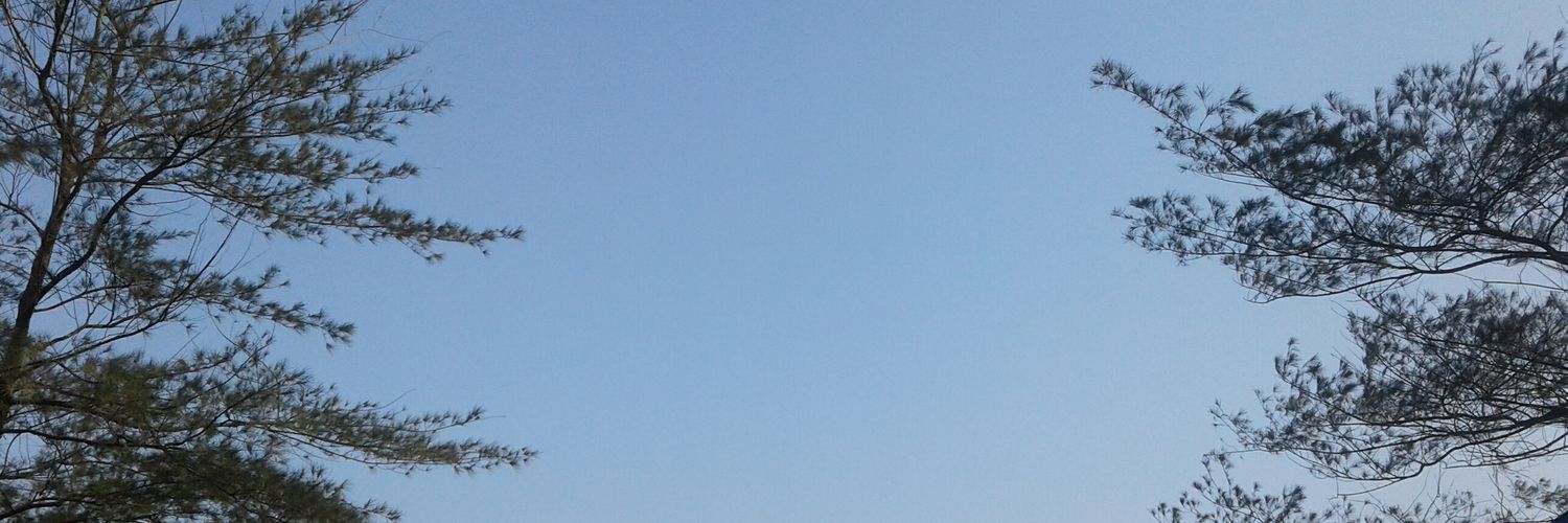 MunicaC's profile banner image