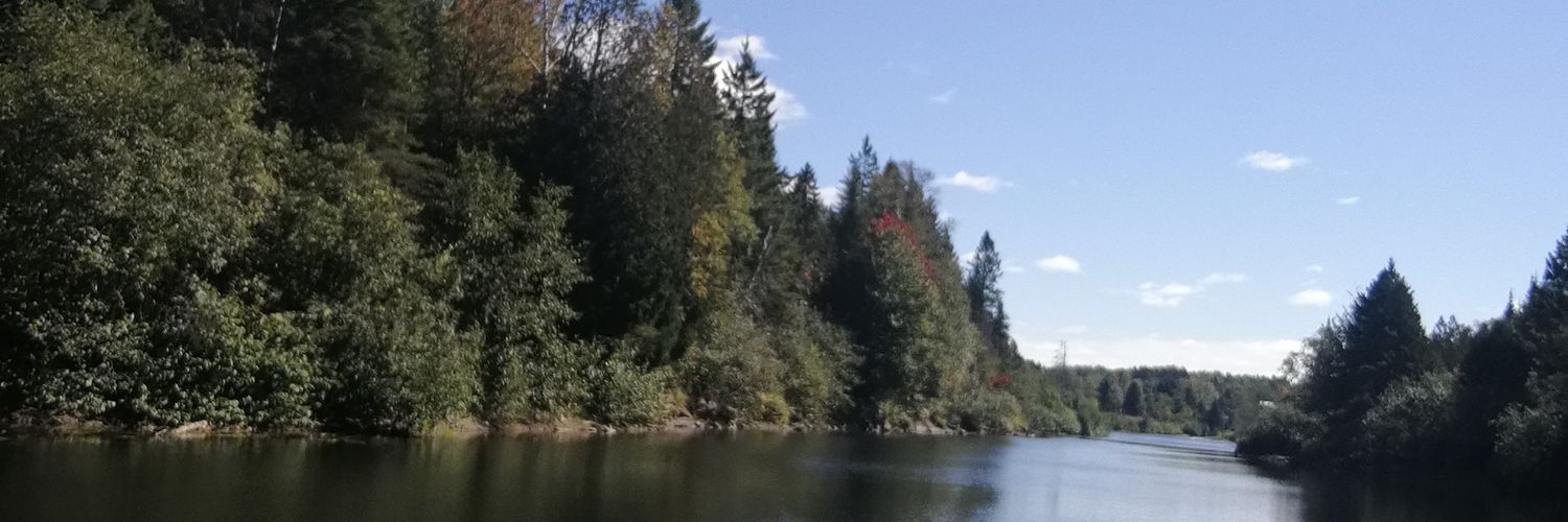 mentheben's profile banner image