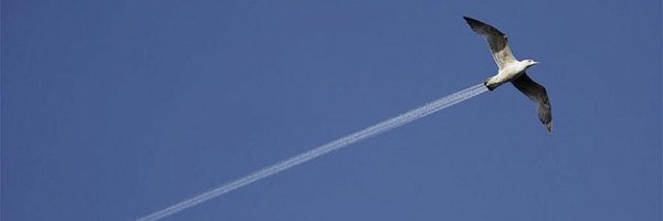Hydrosaure Profile Banner