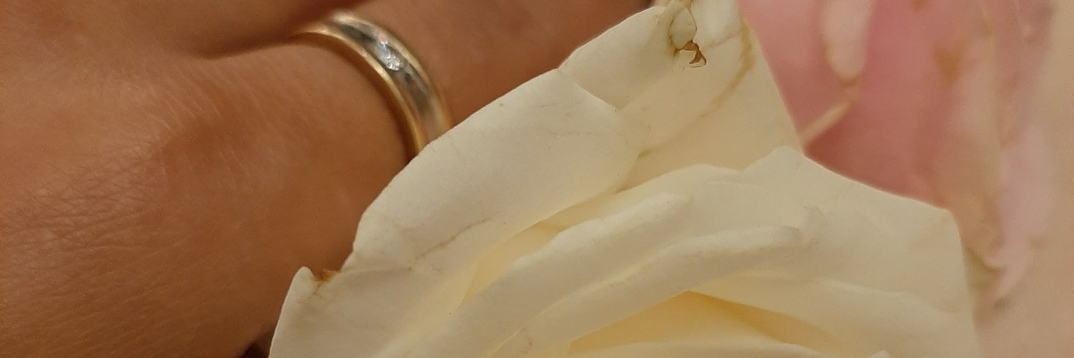 melaniindah's profile banner image