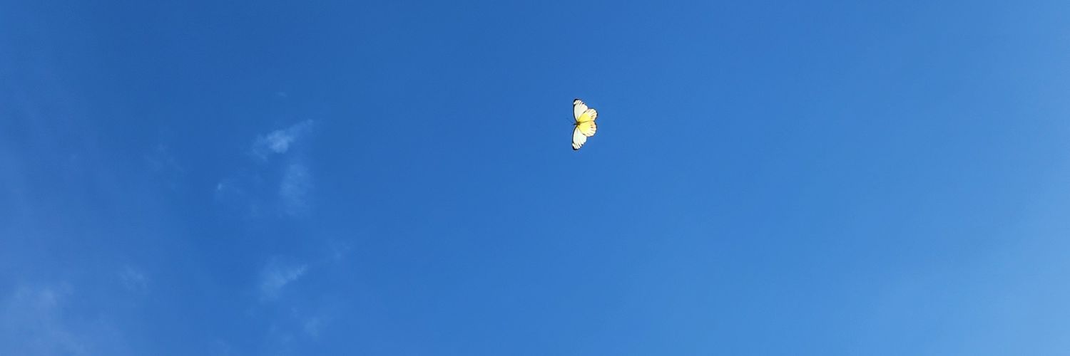 Todayis_mine2's profile banner image