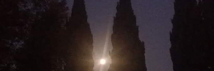 chicledeletras's profile banner image