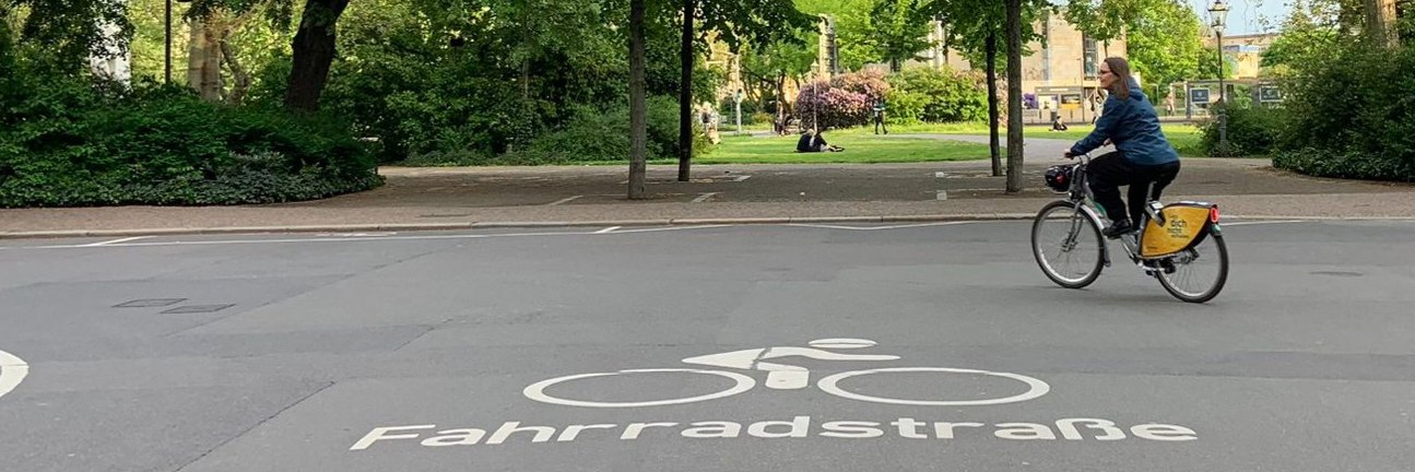 M. Cristina Caimotto banner