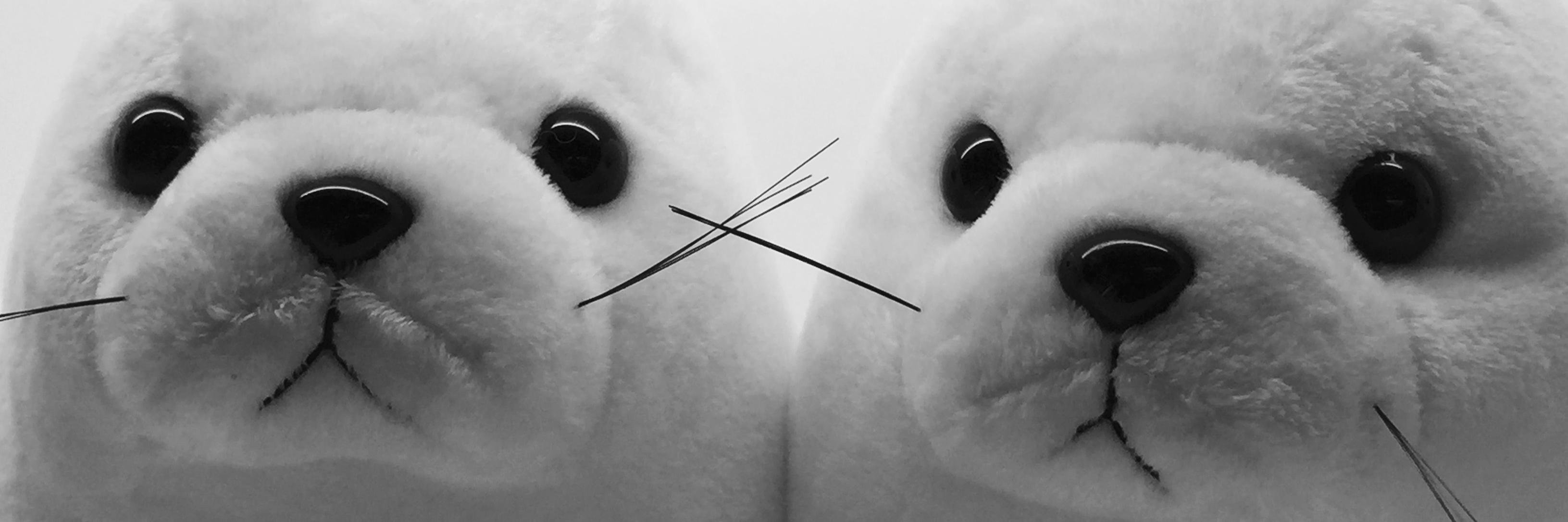 bornalike's profile banner image