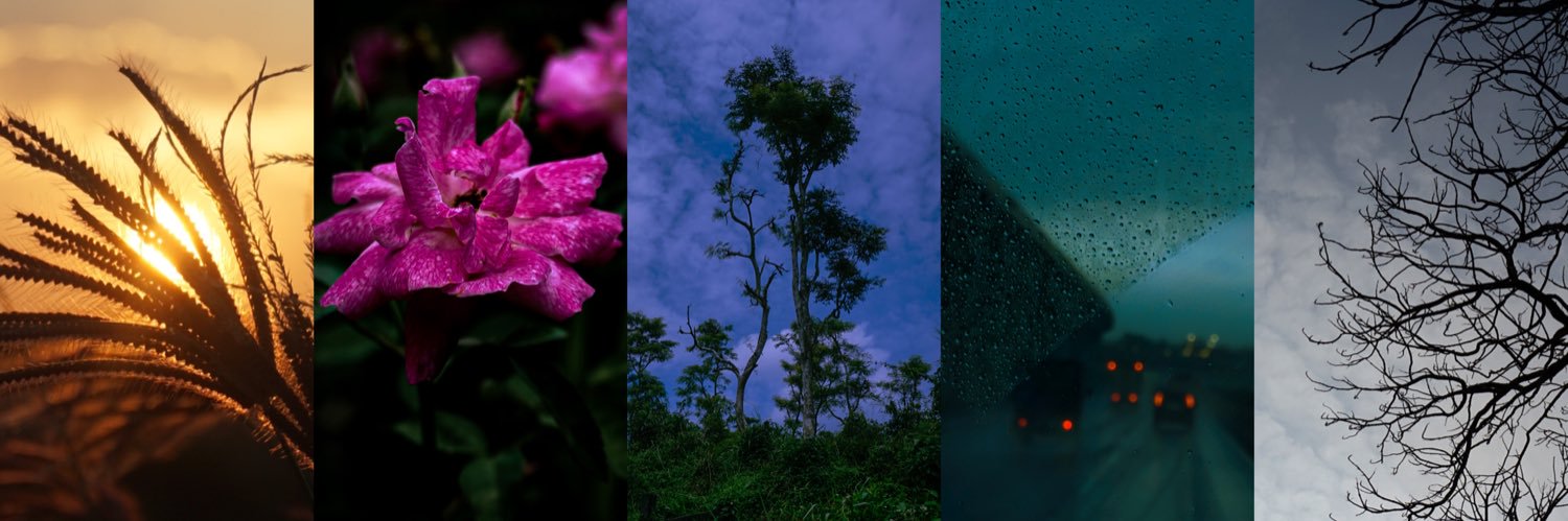 greyvese's profile banner image