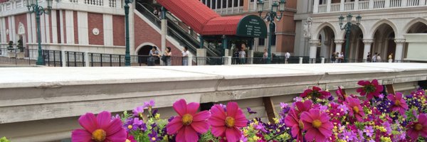 eilz0127 Profile Banner