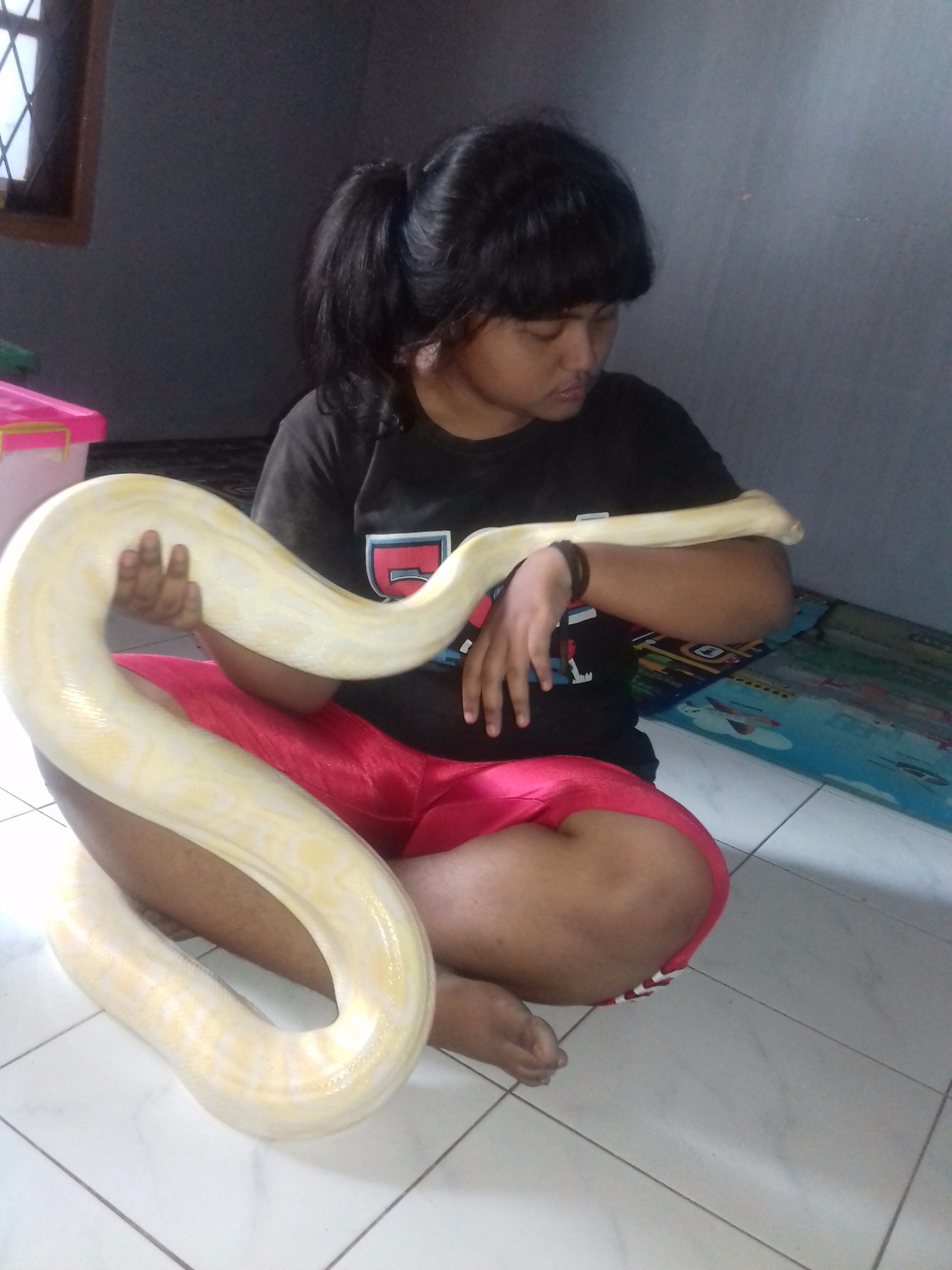 Enuy ♥ banner