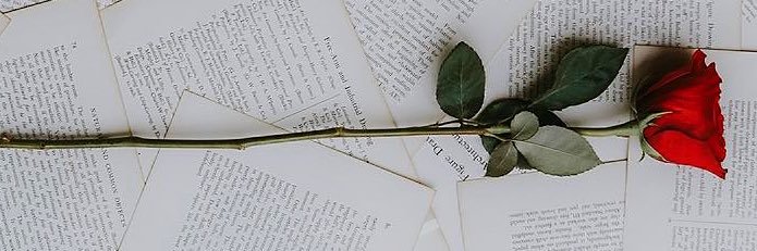 SannaOfficial's profile banner image