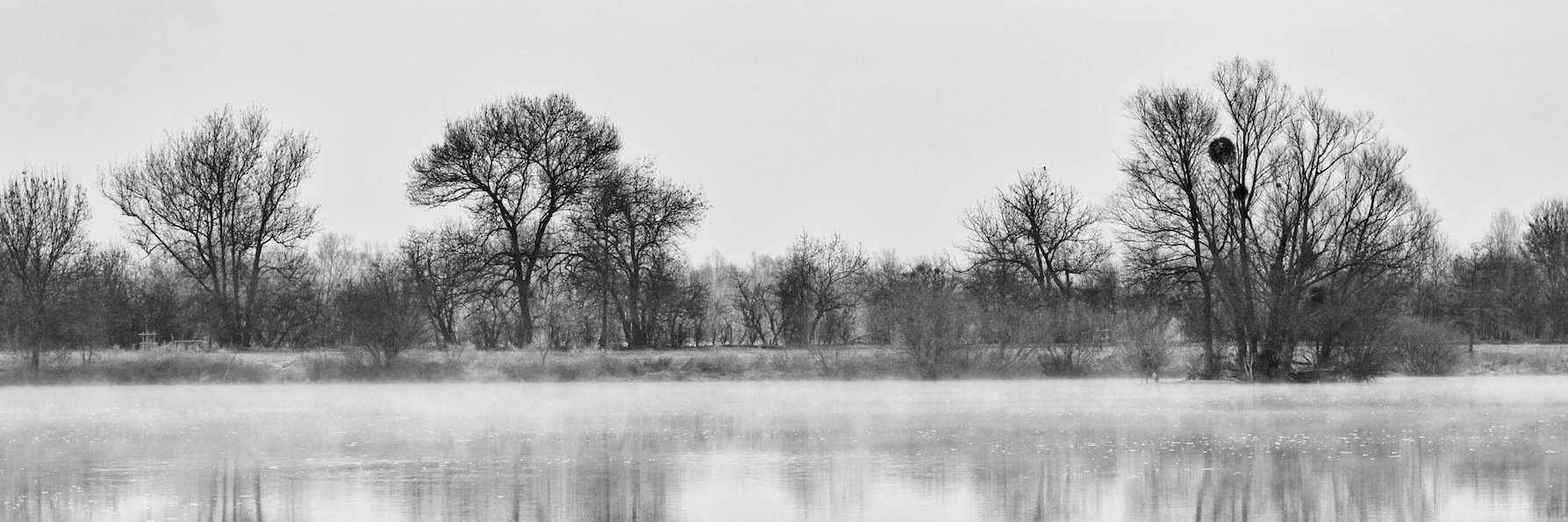 OR_SLambert's profile banner image