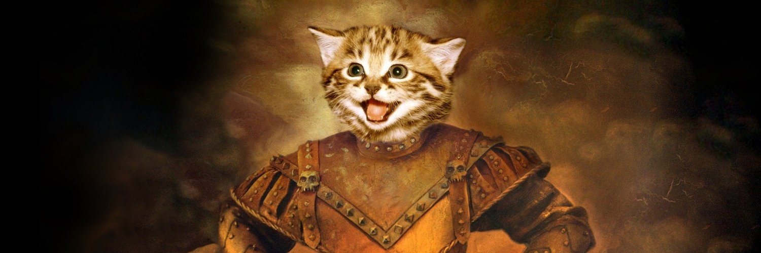 LeoKiLLi's profile banner image