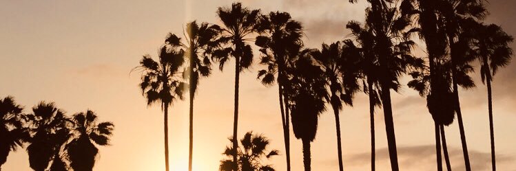 ChaVitelli's profile banner image