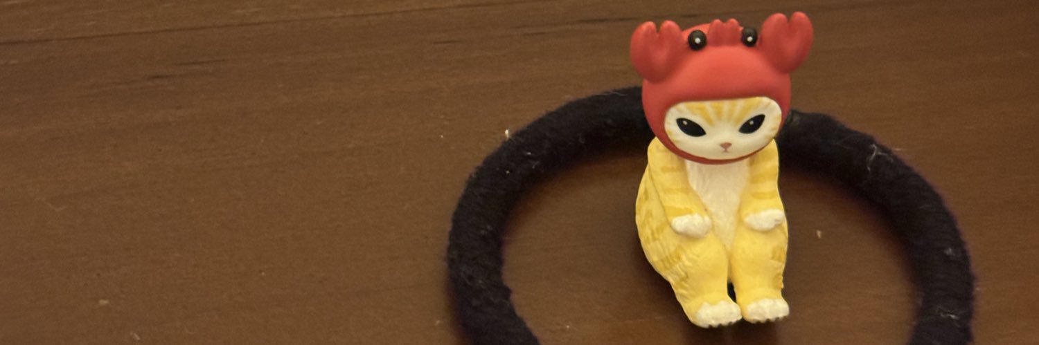keeshasilay's profile banner image