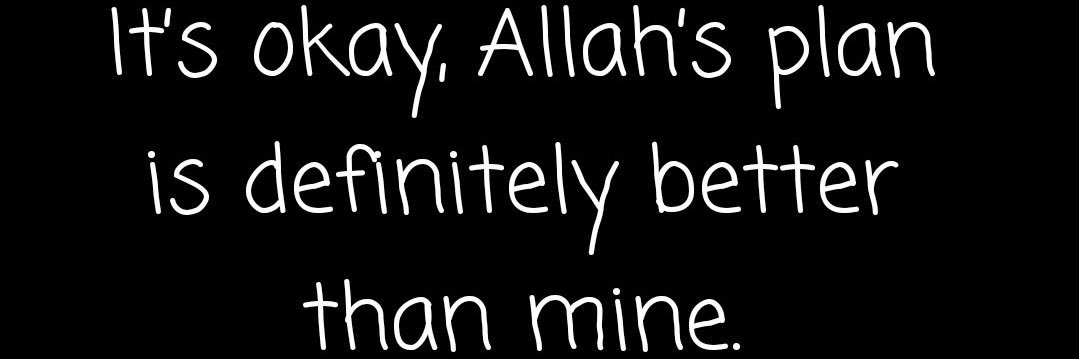 🌹 banner