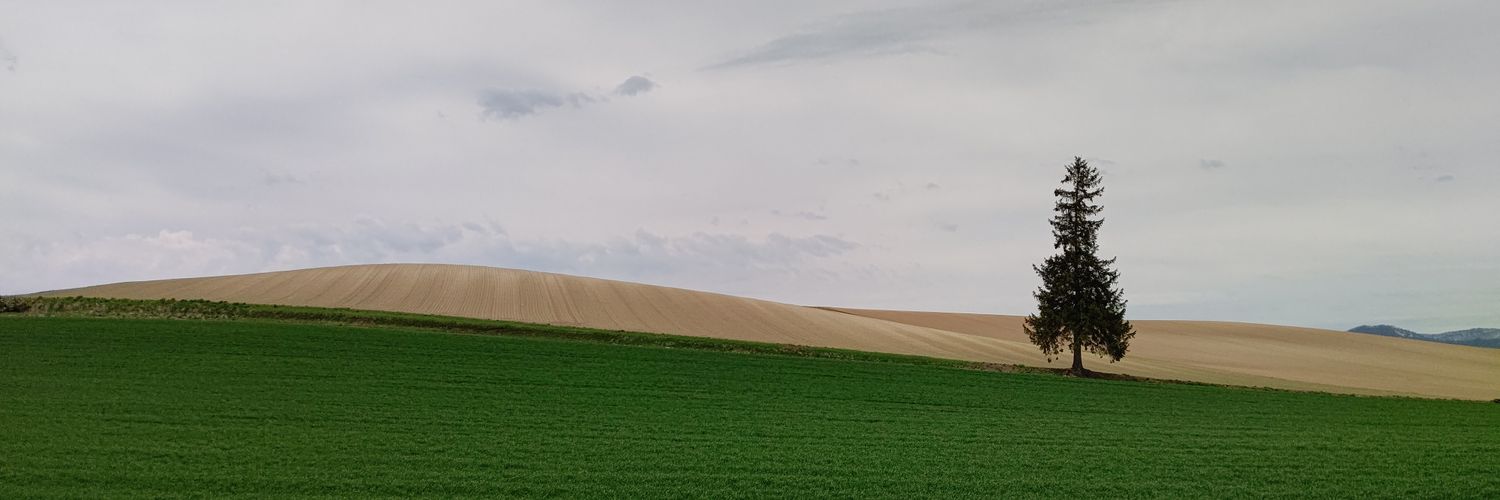 yukabaz's profile banner image