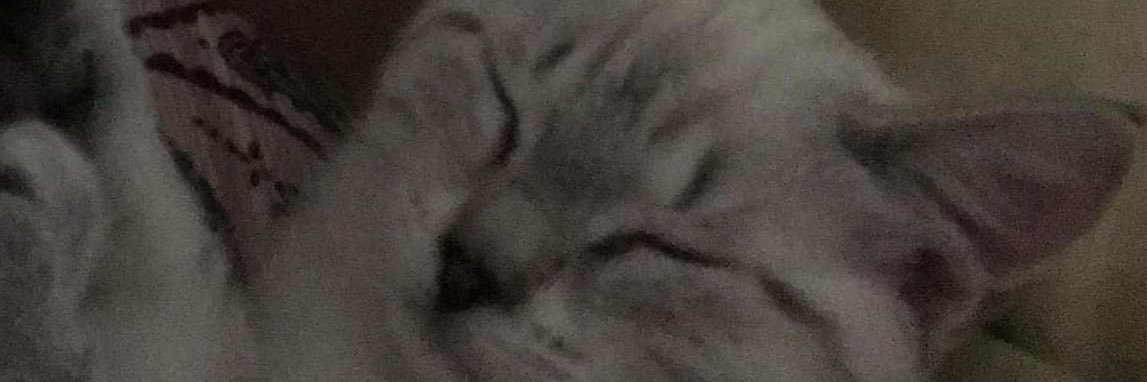 MarittaSepper's profile banner image